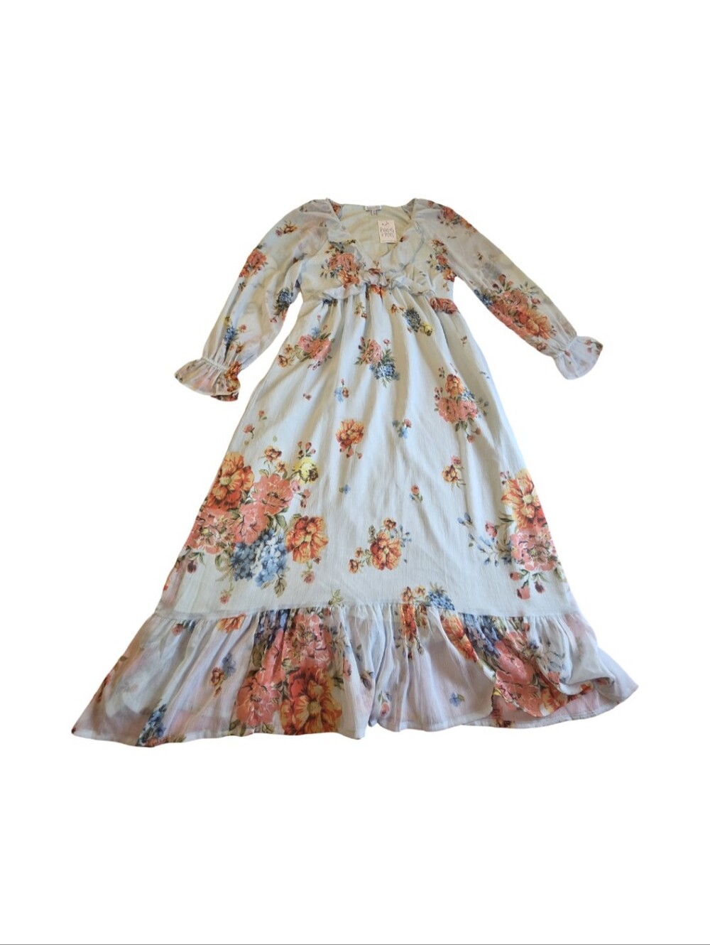 Patrons of Peace Long Floral V-Neck Maxi Dress in Light Blue